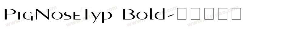 PigNoseTyp Bold字体转换